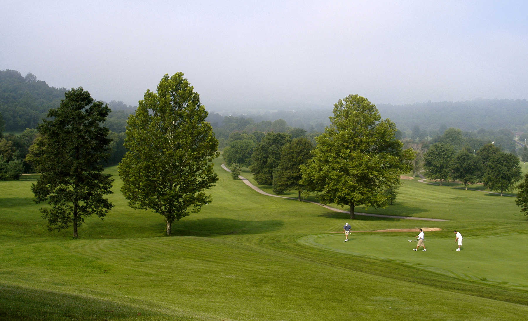 Golf course with trees